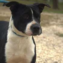 Thumbnail photo of Betsy JuM #2