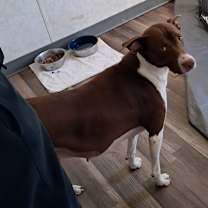 Thumbnail photo of Tessa JuM #4