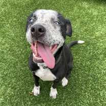 Thumbnail photo of Demi #1