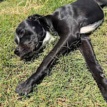 Thumbnail photo of Juni #2