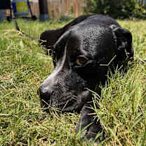 Thumbnail photo of Juni #3