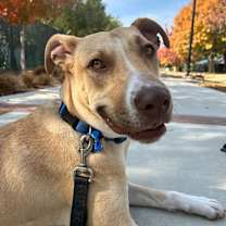 Thumbnail photo of Chip #2