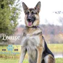 Thumbnail photo of Louise #1