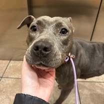 Thumbnail photo of Mia #3