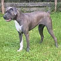 Thumbnail photo of Big Luna #1