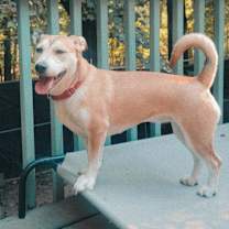 Thumbnail photo of LUNA #1