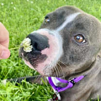 Thumbnail photo of Gabe #2