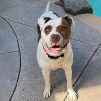 Thumbnail photo of Dottie #4