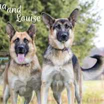 Thumbnail photo of Louise #2