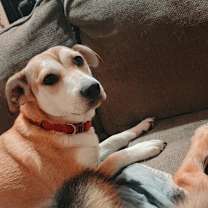 Thumbnail photo of LUNA #3