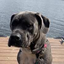 Thumbnail photo of Big Luna #4