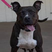 Thumbnail photo of Mori #1