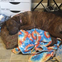 Thumbnail photo of Princess 2 #3