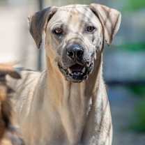 Thumbnail photo of Carter Rico III #1