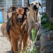 Thumbnail photo of Carter Rico III #3