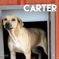 Thumbnail photo of Carter Rico III #4