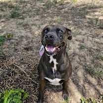 Thumbnail photo of Jonathan #1