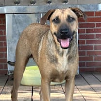 Thumbnail photo of Rudy #1