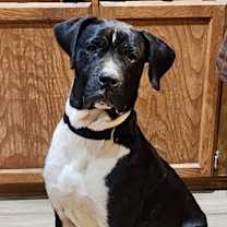 Thumbnail photo of Bruno Mars #2