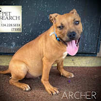 Thumbnail photo of Archer #1