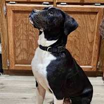 Thumbnail photo of Bruno Mars #3