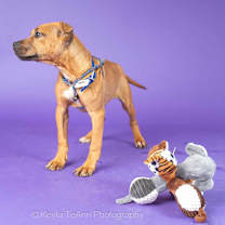 Thumbnail photo of Archer #2