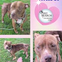 Thumbnail photo of Mabel #1