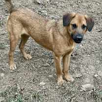 Thumbnail photo of Pilot #2