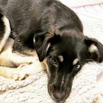 Thumbnail photo of Ghost #2