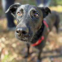 Thumbnail photo of Jacob #3