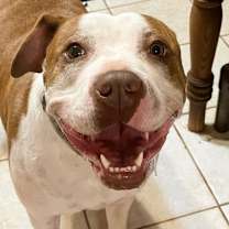 Thumbnail photo of Elsie #4