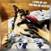 Thumbnail photo of Summer #4