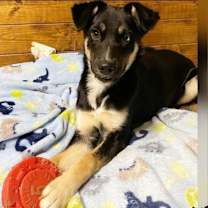 Thumbnail photo of Ghost #4