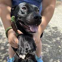 Thumbnail photo of Aria #3