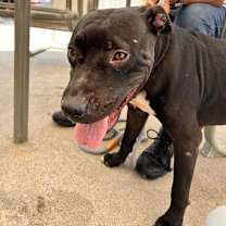 Thumbnail photo of Aria #4