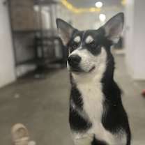 Thumbnail photo of Candi #2