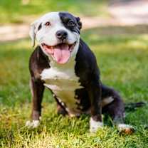 Thumbnail photo of Josephine #3