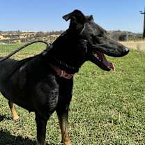 Thumbnail photo of Freeway #1