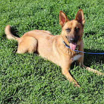 Thumbnail photo of Decker #3