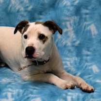 Thumbnail photo of Soy Sauce (Now Goofy) #3