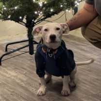 Thumbnail photo of Julie #2