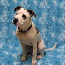 Thumbnail photo of Soy Sauce (Now Goofy) #4