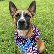 Thumbnail photo of Tito #3