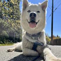Thumbnail photo of Steve #1
