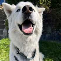 Thumbnail photo of Steve #3