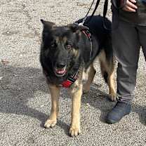 Thumbnail photo of Lazerath #2