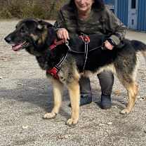 Thumbnail photo of Lazerath #4