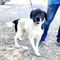 Thumbnail photo of Willow #4