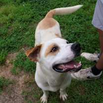 Thumbnail photo of Dewey #3