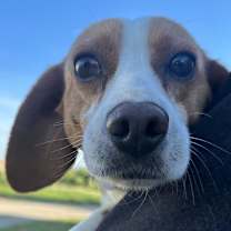 Thumbnail photo of Rita #1